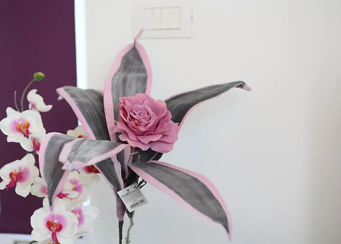 Stobrec スプリト